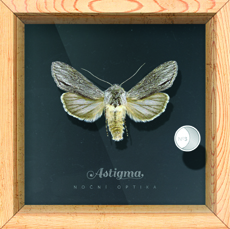 Nocni optika: Astigma